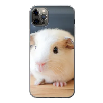 Produktbild von MuchoWow® Handyhülle Schutzhülle Hülle für iPhone 12 Pro Max Niedliches Baby-Meerschweinchen Silikon Softcase Handy Hülle - Hartschale