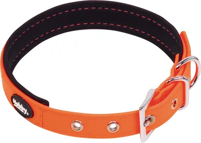 Produktbild von Nobby 80560-04, Hund, Standardkragen, Orange, Neopren, Polyester, Polyvinylchlorid (PVC), Einfarbig, S