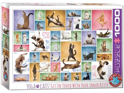 Produktbild von Yoga Cats. Puzzle 1000 Teile
