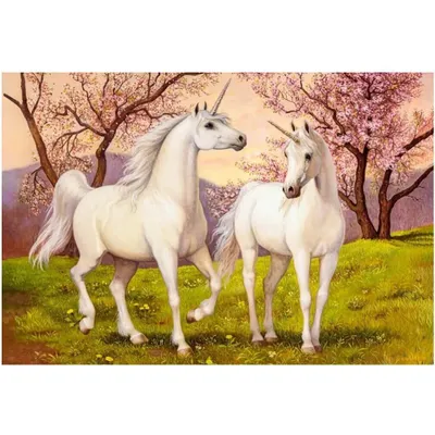 Produktbild von Castorland Puzzle Einhorn Liebe - 1000 Teile Legespiel