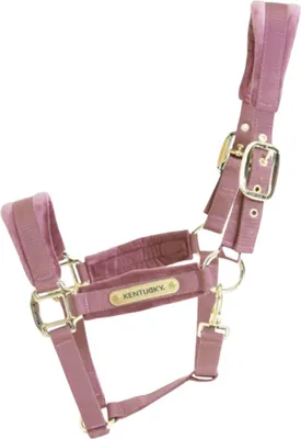 Image de Kentucky Horsewear licol en velours