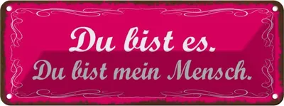 Produktbild von vianmo Blechschild 10x27 cm Du bist es mein Mensch Dekoration Spruch Zitat