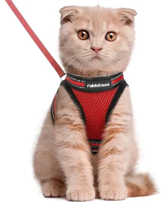 Produktbild von Katzengeschirr mit Leine Set ausbruchsicher verstellbar weich reflektierend Rot Größe L