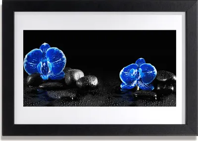 Produktbild von Bild 30x20 MDF-Rahmen Wandkunst Stein Blume Pflanze