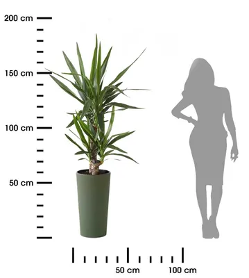 Immagine prodotto di HowHomely vaso da fiori Urbanika ECO 57 cm di altezza, vaso per piante, fioriera verde per balcone giardino