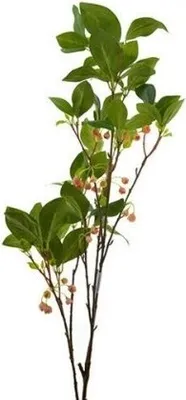 Image de Showpiece branch 110 cm vert/rose