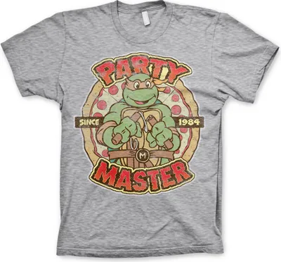 Produktbild von Teenage Mutant Ninja Turtles T-Shirt Herren Party Master grau M