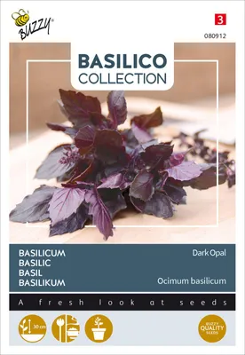 Artikelbild 2 von 'Basilikum Dark Opal' aus der Kategorie Basilikumsamen