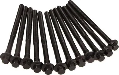 Obrázek produktu pro Sada šroubů hlavy válců REINZ 14-32305-01