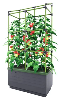 Produktbild von BioGreen Hochbeet "City Jungle" mit Rankgitter L 62 x B 33 x H 128 cm - 34L Kübelvolumen - 17L Wasserspeicher