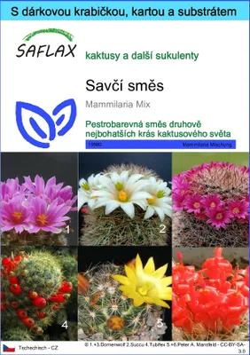 Obrázek produktu pro SAFLAX Dárková sada - Savčí směs - Mammilaria Mix - 40 Semena - S dárkovou krabičkou, přepravním štítkem, dárkovou kartou a pěstebním médiem