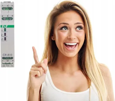 Image de Relais de contrôle de température CR-810 - 230V - Protection électrique - Fiable et efficace