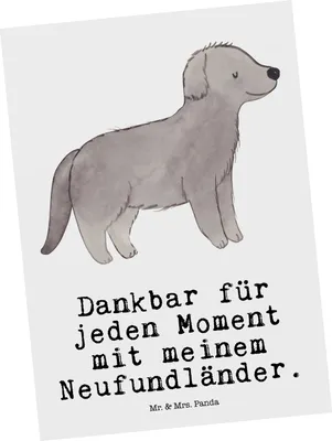 Produktbild von Mr. & Mrs. Panda Postkarte Neufundländer Moment - Weiß - Geschenk, Newfoundland, Ansichtskarten, Ansichtskarte, Grußkarte, Fotokarte, Postkarten