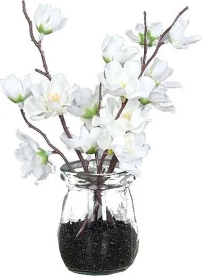 Produktbild von Kirschblüten im Glas - cream - Kunstblumen