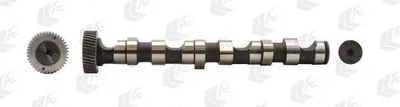 Produktbild von AE CAM703 Nockenwelle für Zylinder 1-3 Auslass für VW PASSAT Variant (3B6) PASSAT Variant (3B5) PASSAT (3B3) PASSAT (3B2) für AUDI A4 Avant (8E5, B6)
