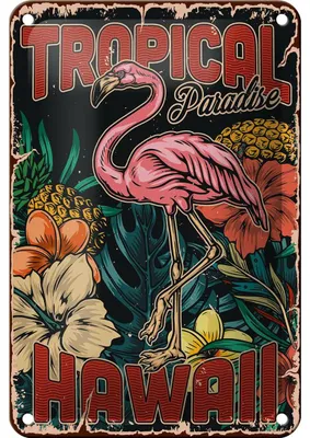 Produktbild von Blechschild Retro 12x18cm Hawaii Tropical Paradise Alkohol