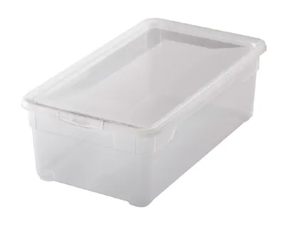 Immagine prodotto di Rotho 364791 Contenitore &quot Clear Box&quot 5 l con coperchio, 33 x 19 x 11 cm