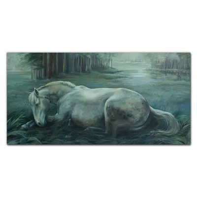 Produktbild von Coloray Bild aus Leinwand 120x60 Leinwand Dekoration - Wald Pferd Natur