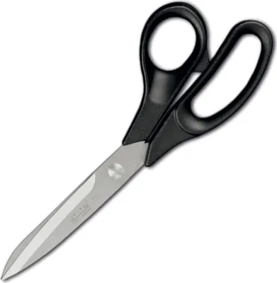 Obrázek produktu pro Kuchyňské nůžky , Ambrogio Sanelli, (L)210mm