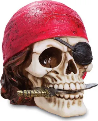 Produktbild von Piraten Totenkopf mit rotem Bandera