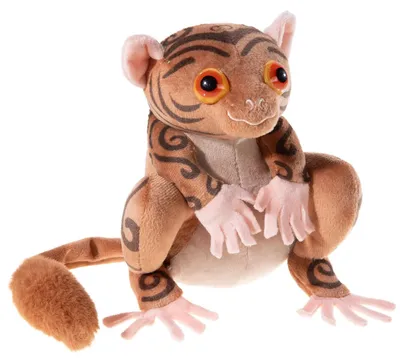 Image de HEUNEC École pour animaux Kobold Fitzgeraldo