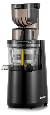 Slow Juicer, vertikal, 250 W, 40 U/min, BPA-frei, 0,6 l, schwarz