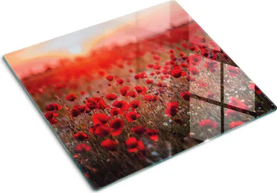 Produktbild von Glasplatte zum Schutz der Kochfläche – Abdeckung für die Kochplatte – Abdeckung für Induktionskochfelder – 60x52 cm – Einfache Reinigung – Gehärtetes Glas – Motiv: Mohnblumen