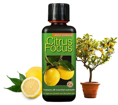 Zdjęcie produktu dla Growth Technology - Nawóz do cytrusów 300 ml - Citrus Focus - Wysoce skoncentrowany - Nawóz płynny