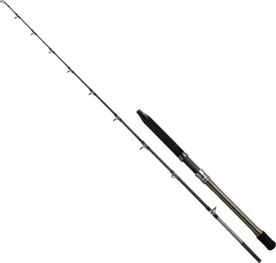 Image de Canne à pêche Shimano Fishing Speedmaster Ax Deep Drop Bootsrute Noir 2,29 m / 500-1000 g Noir 2,29 m