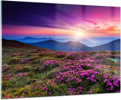 Produktbild von Bilder auf glas - Wiese Berg Himmel Landschaft - 100x70cm - Glasbilder - Wandbilder - Kunstdruck - zum Aufhängen bereit - Wanddekoration aus Glas - Glas Bilder - Wandbild auf Glas - GAA100x70-2719
