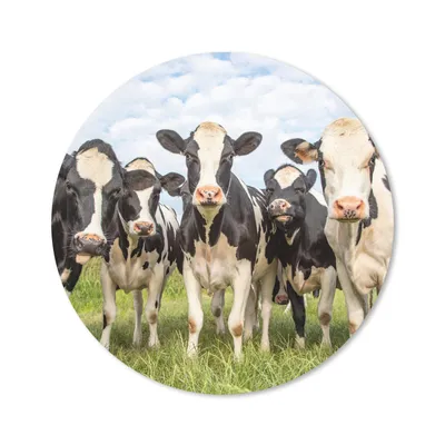 Produktbild von MuchoWow® Mauspad Mousepad Kühe - Weide - Tiere - Natur - Gras 20x20 cm - Mousepads - Maus Mat - Pad - Mausunterlage - Schreibtischmatte