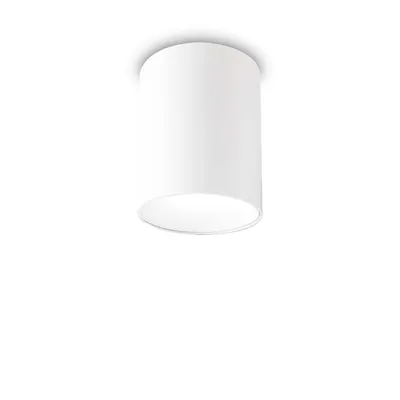 Obrázek produktu pro Moderní stropní světlo Nitro Round Aluminium White Led 10W 3000K Warm Light
