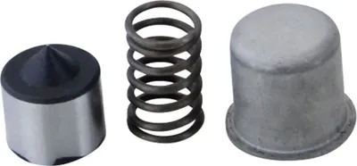 Imagen del producto de Juego de muelles de seguridad para el sistema de encendido de motores Sachs tipo 50/3 y 50/4 - Citomerx