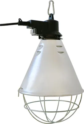 A hanging heat lamp with a protective cage.