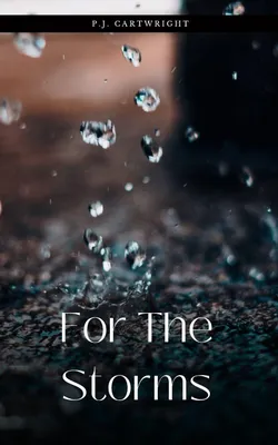 Produktbild von For The Storms