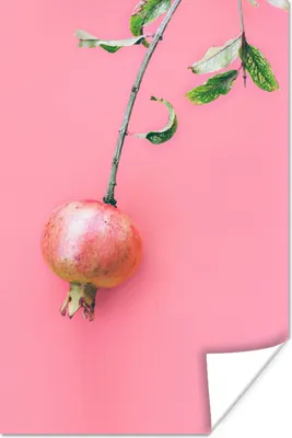 Produktbild von MuchoWow® Poster Pflanzen - Sommer - Rosa 80x120 cm - Papierdruck