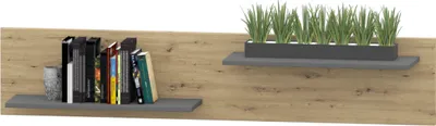 A wall-mounted shelf with books and a planter with grass.