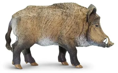 Image de Safari Ltd - Figurine Sanglier 224229