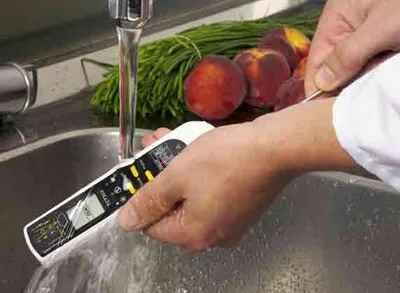 Produktbild von Infrarot-und Einstich-Thermometer DualTemp Pro TFA 31.1119K