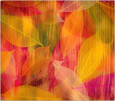 Produktbild von Spritzschutz Herdabdeckplatte Schneidebrett aus Glas Illustration Herbstblätter 1-Teilig (60x52cm)