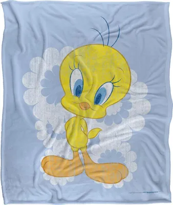 Produktbild von Looney Tunes - Decke, Ausgeblichen TV18735 (Einheitsgröße) (Bunt)