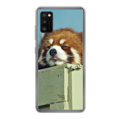 Produktbild von MuchoWow® Handyhülle Schutzhülle Hülle für Samsung Galaxy A41 Panda - Holz - Rot Silikon Softcase Handy Hülle - Mobiltelefon