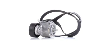 Produktbild von DAYCO KPV110 Keilrippenriemensatz für FIAT PANDA (169)