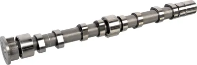 Immagine prodotto di FEBI BILSTEIN 176003 Albero a camme di scarico per VW GOLF VI (5K1) POLO (9N) Polo Hatchback (6R1, 6C1) TOURAN (1T1, 1T2) TIGUAN (5N) GOLF PLUS (5M1, 521)