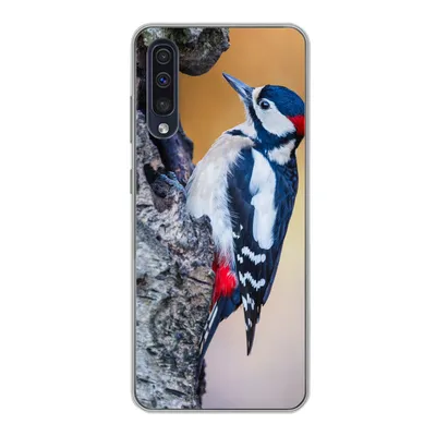 Produktbild von MuchoWow® Handyhülle Schutzhülle Hülle für Samsung Galaxy A30s Nahaufnahme eines Buntspechts auf einem Baumstamm Silikon Softcase Handy Hülle - Karteninhaber