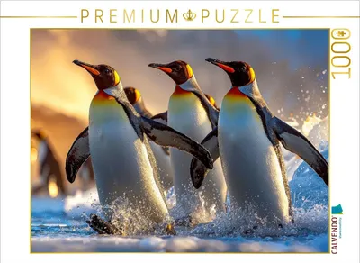 Produktbild von CALVENDO Puzzle Im Watschelgang aus dem Meer | 1000 Teile Lege-Größe 64x48cm Foto-Puzzle für glückliche Stunden