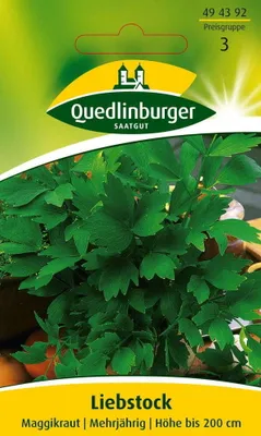 Produktbild von Quedlinburger Saatgut - Liebstock Maggikraut - Samen - 494392
