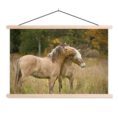 Produktbild von MuchoWow® Textilposter Zwei kuschelnde Fjordpferde im Herbst 120x80 cm mit holzfarbenen Rahmen - Aufhängeset
