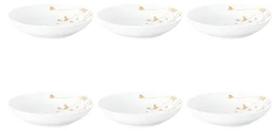 Zdjęcie produktu dla Seltmann Weiden - Zestaw 6 talerzy do zupy 21cm Liberty Golden Rose Hip