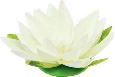 Produktbild von Künstliche Schwimmblume Seerose für Tischdeko und Teich, 2 Stück